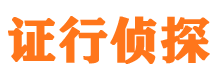 九龙市私家侦探